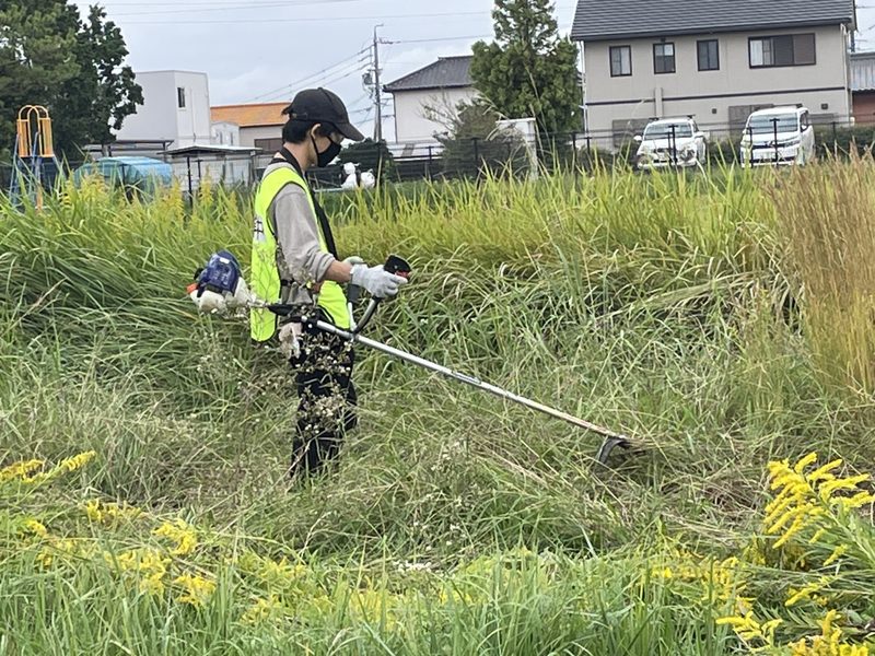 草刈りに取り組む若者スタッフ